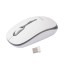 Mouse Meetion MT-R547