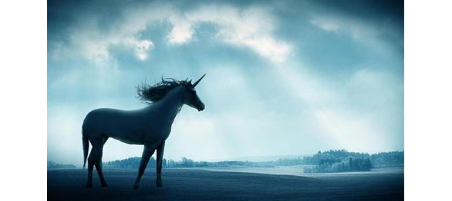 Rudiantara: 3 Sektor Bisnis Indonesia Berpotensi Jadi Unicorn Rudiantara: 3 Sektor Bisnis Indonesia Berpotensi Jadi Unicorn