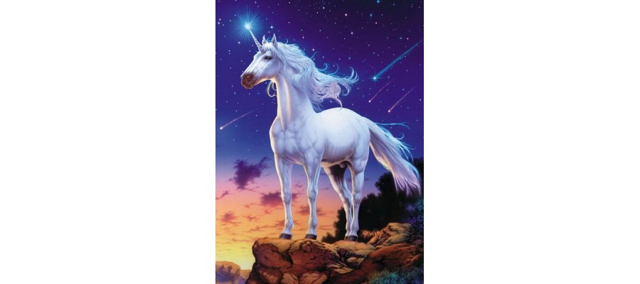 Awal Penggunaan Kata Unicorn yang Melekat Pada Startup